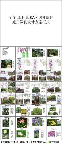 園林景觀施工方案教案PPT